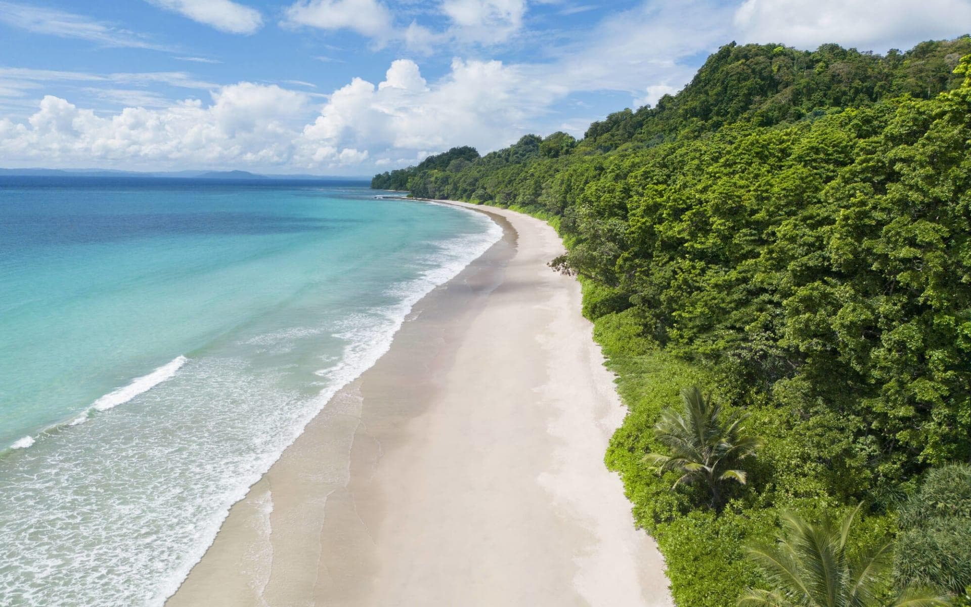 Turquoise sea and tropical beach in Andaman and Nicobar Islands, India